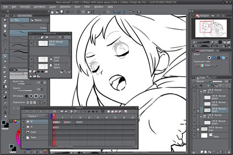 Clip Studio Paint EX