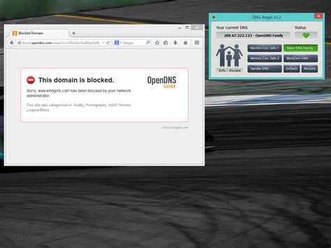 DNS Angel 1.7 Latest