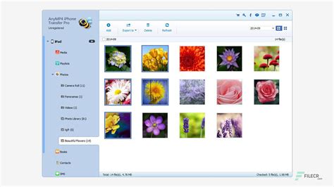 Download AnyMP4 Mobile Transfer